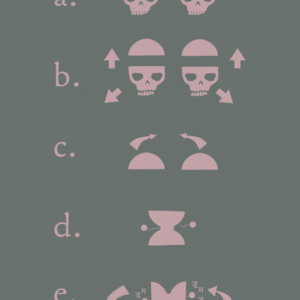 Evolution Revolution Poster